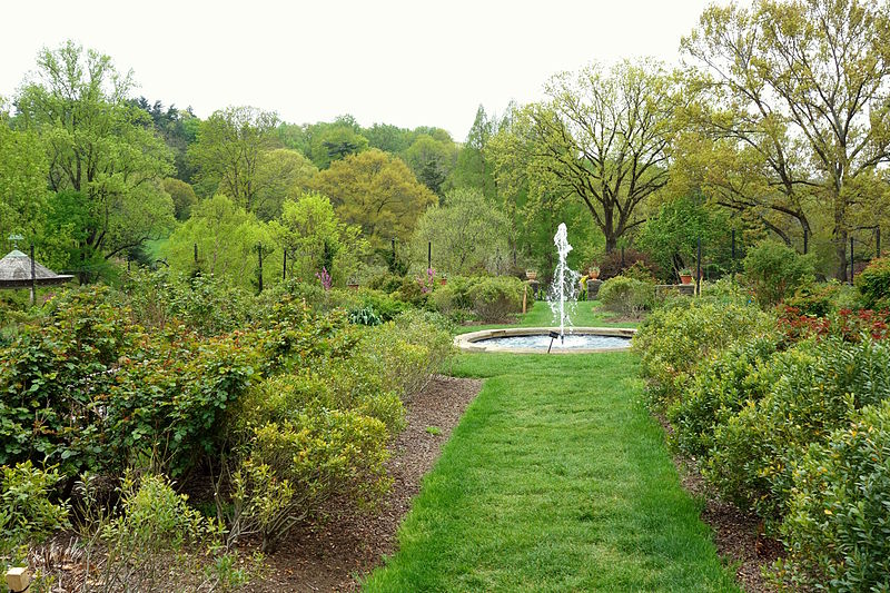 File:Morris Arboretum - DSC00231.JPG