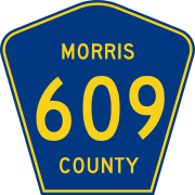 A blue pentagon with yellow text "609" inside, and small yellow text "MORRIS COUNTY" surrounding the numeral