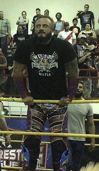 <span class="mw-page-title-main">Mecha Wolf 450</span> Puerto Rican wrestler