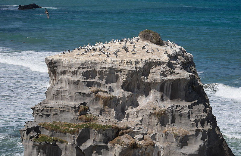 File:Muriwai Beach.jpg