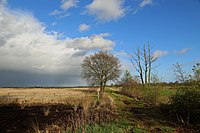 92. Platz: J.-H. Janßen mit Naturschutzgebiet Recker Moor in Recke, Kreis Steinfurt