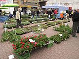 Čeština: Veletrh Narcis 2016 na výstavišti v Lysé nad Labem. Okres Nymburk, Česká republika.