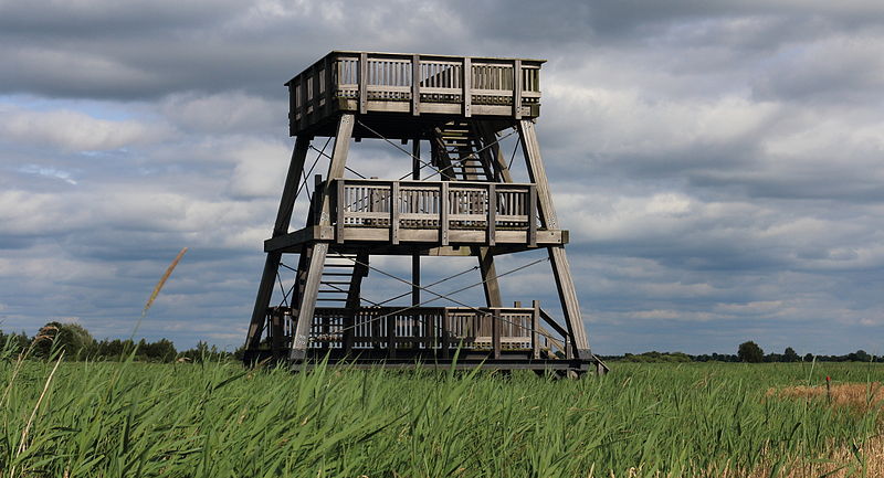 File:Nationaal Park De Alde Feanen. Locatie, It Wikelslân 08.JPG