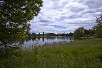 Neuravensburger Weiher.jpg