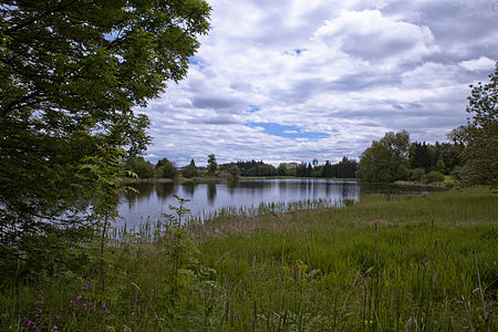 Neuravensburger Weiher