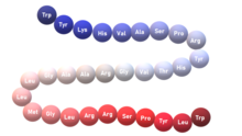 Neuropeptide W primary sequence.png