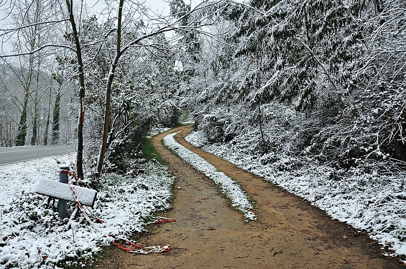 File:Nevada vallgorguina-2013.JPG