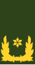 Nl-landmacht-brigade general.svg