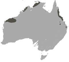 Northern Quoll area.png