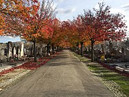 Cemetery of Croix-Rousse