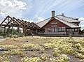 Old Faithful Snow Lodge with buckwheat blooming