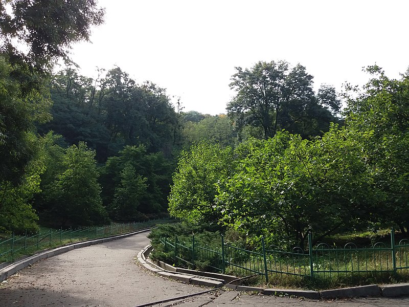 File:Oleksandr Fomin Botanical Garden (2017.10.07) 04.jpg