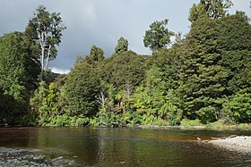 Oparara River in Kahurangi National Park.jpg