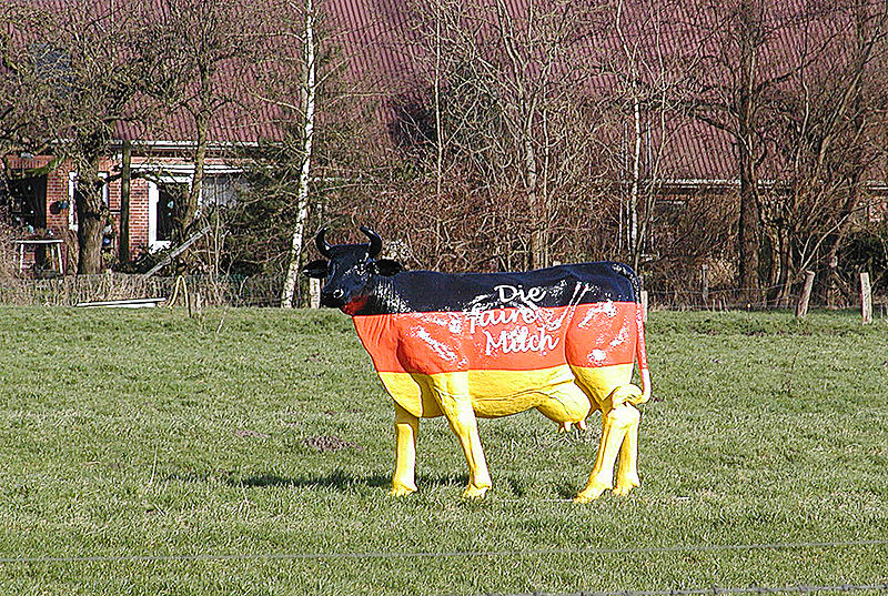 File:Otterndorf protest kuh 02.jpg