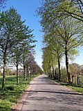 Miniatuur voor Bestand:Oudaseweg, westzijde (Culemborg).jpg