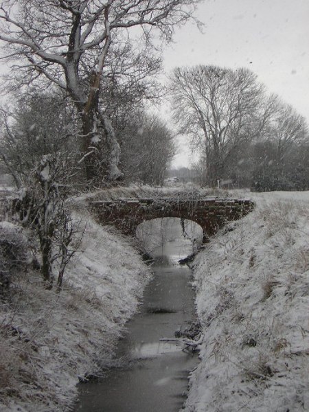 File:Ox Pasture drain, Harby, Notts. - geograph.org.uk - 42536.jpg