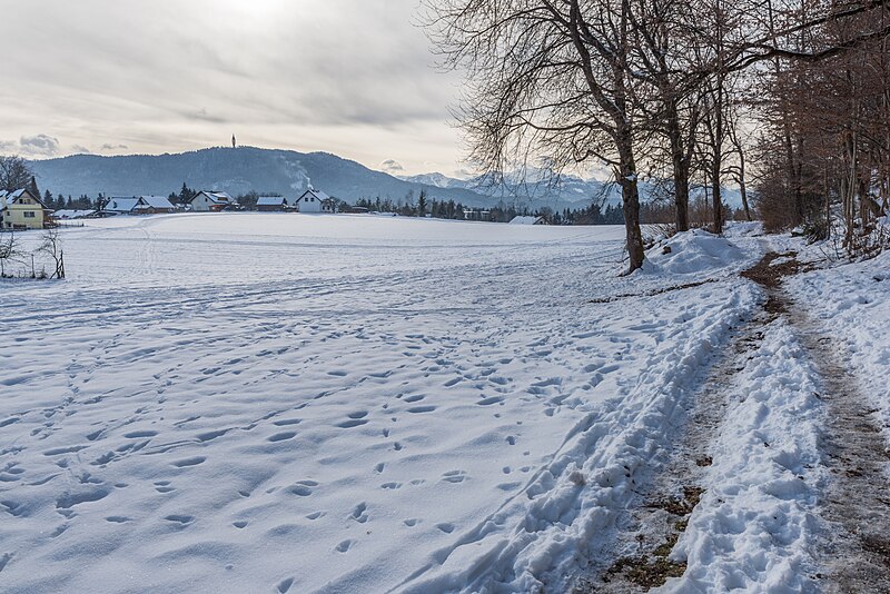 File:Pörtschach Winklern Wanderweg 9 Ost-Teil 14012021 0364.jpg