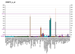 PBB GE PKP3 209873 s bei fs.png