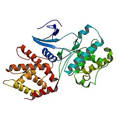 PBB Protein CDK5-image.jpg