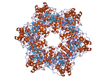 Tập_tin:PDB_1g8y_EBI.jpg