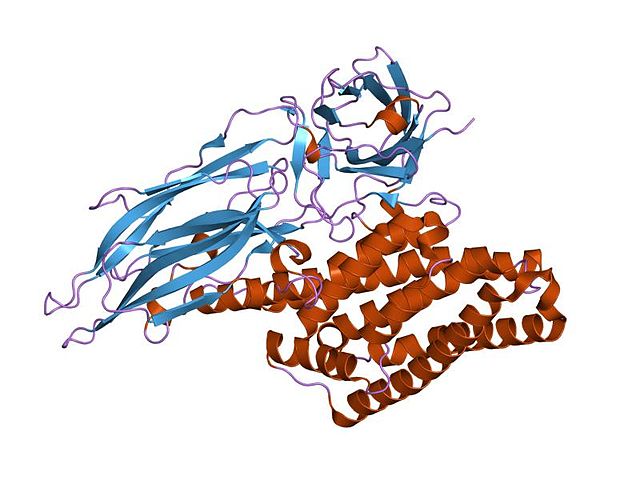 Delta endotoxin - Wikipedia