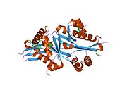 PDB 2bei EBI.jpg