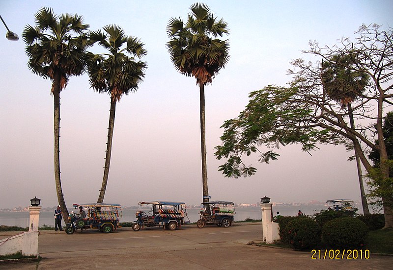 File:PalmyraPalm & Tuktuk@Thakhek2010.jpg