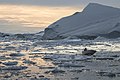 Icebergs in Disko Bay in Baffin Bay