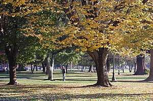 Parque Ecuador