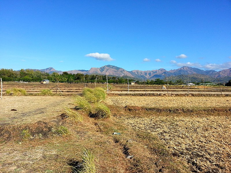 File:Philippines - Igbaras, Iloilo - The Unused Fields and the Far Mountain (1).jpg