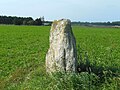 Menhir Pierre de Saillé