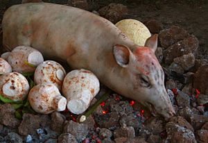 Pig on the Samoan Umu.jpg