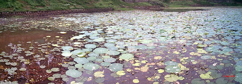 File:Poonkode Lake I - panoramio.jpg