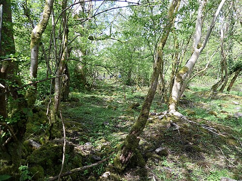 Ruins of Doggartland Print works