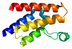 חלבון GCN5L2 PDB 1f68.png