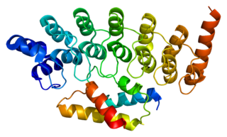 <span class="mw-page-title-main">PSMC4</span> Enzyme found in humans