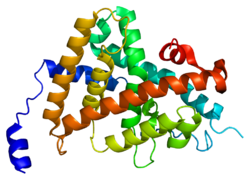 Protein THRA PDB 1nav.png