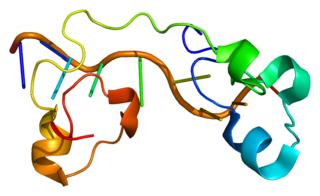 <span class="mw-page-title-main">ZFP36L1</span> Protein-coding gene in the species Homo sapiens