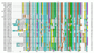 Multiple sequence alignment