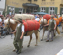 Haflingers used as pack horses during a medieval re-enactment Ravensburger Handelsgesellschaft Rutenfest 2004.jpg