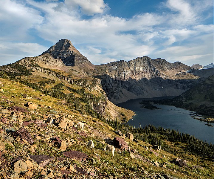 File:Reynolds Mountain and Dragons Tail.jpg