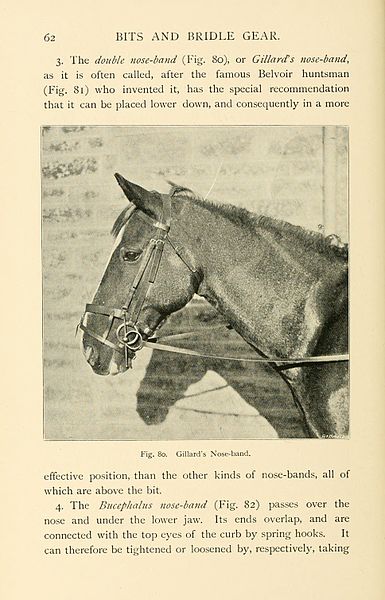 File:Riding and hunting (Page 62) BHL23571979.jpg