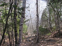 Parc de la rivière Batiscan, secteur Grand-Bassin