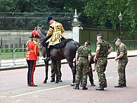 Veterinary Officer of the UK Household Cavalry wearing her distinctive red-plumed cocked hat in place of the usual helmet (2010) Roadside assistance (4699985401).jpg