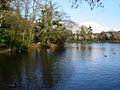 File:Spring in the Lagan valley, Belfast - geograph.org.uk - 1844885.jpg -  Wikimedia Commons