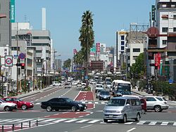 Jalan Tachibana di Miyazaki