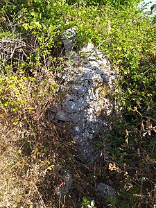 Ruines Sant Elia Riofreddo.jpg