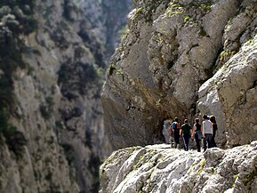 Escursionisti nelle gole del Cares, Picos de Europa