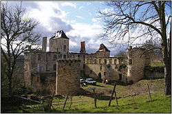 SAINT-AUBIN-DE-NABIRAT (Dordogne) - Ruines du château du Repaire-11.JPG