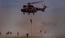 SANDF Air Assault Infantry SANDF Airborne Infantry.jpg